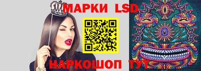 крисы Малгобек