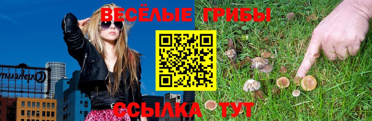 Ижевск  Галлюциногенные грибы Magic Shrooms  Вход с VPN 
